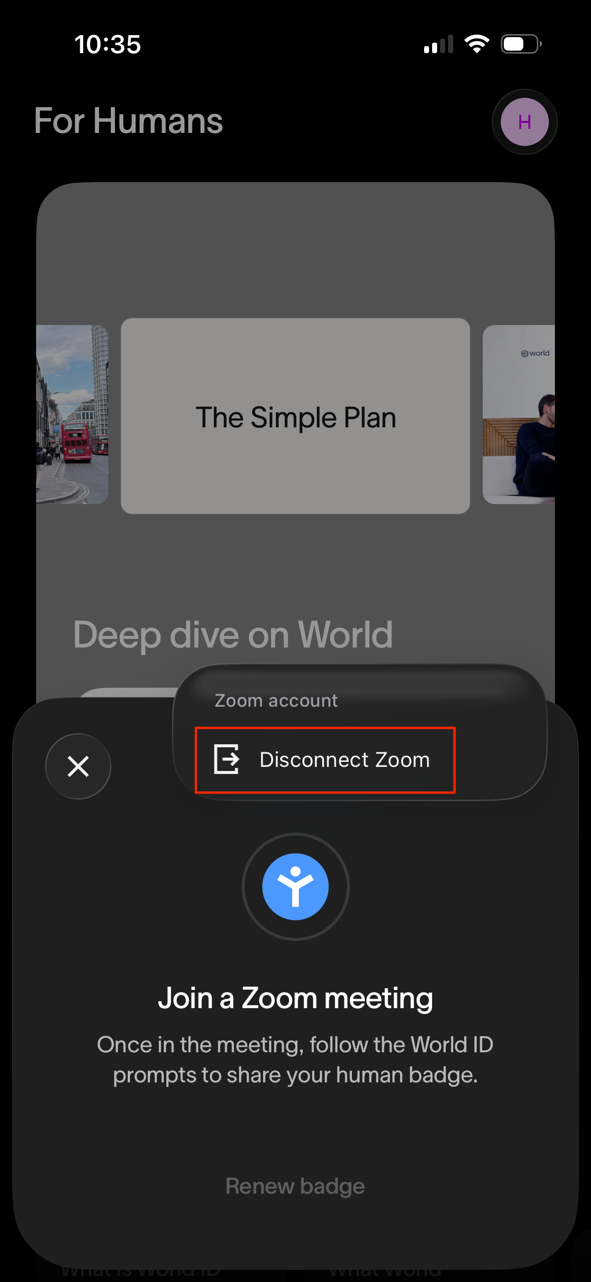Disconnect Zoom.png